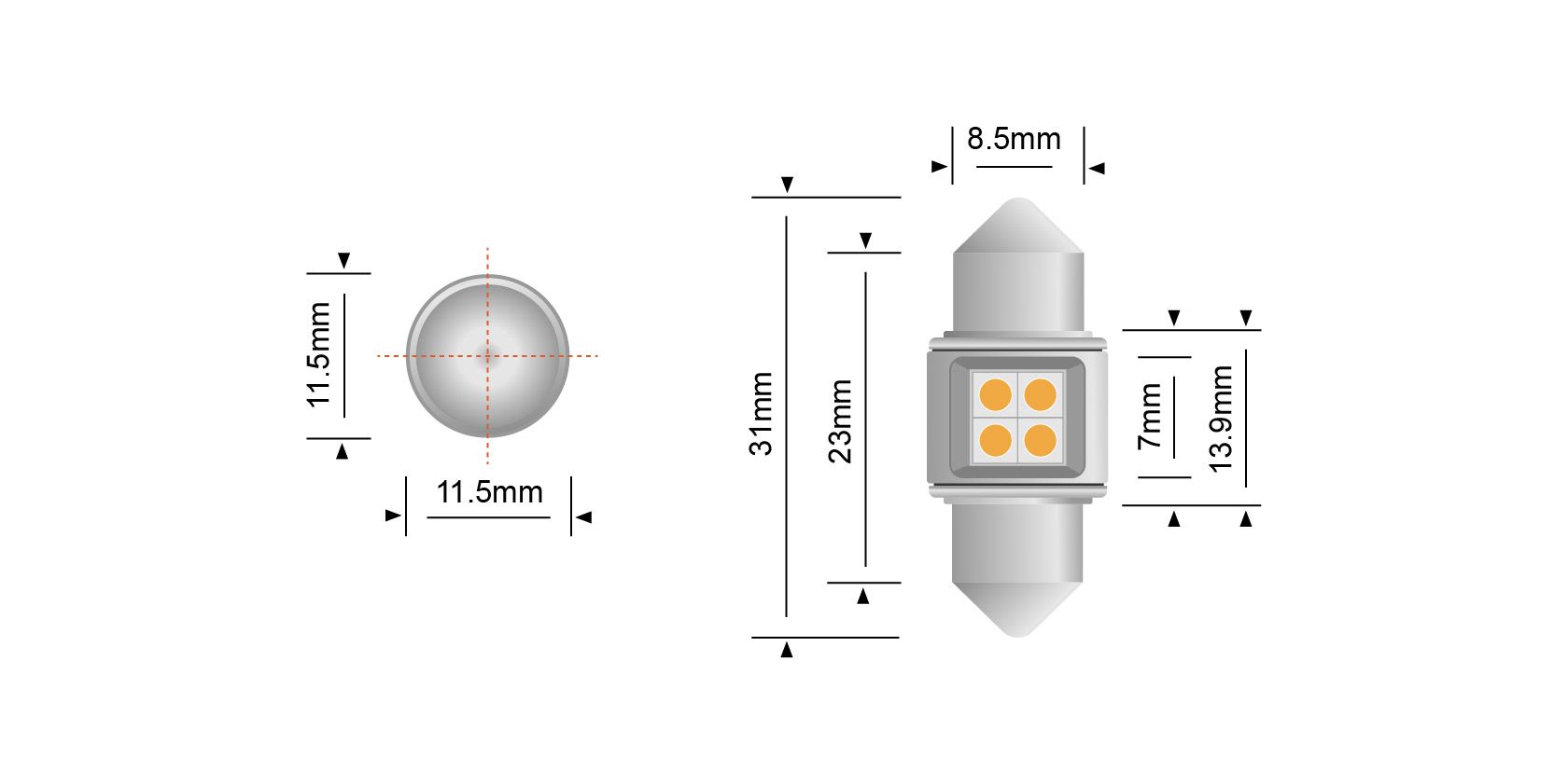 STEDI Festoon 31mm LED Bulbs